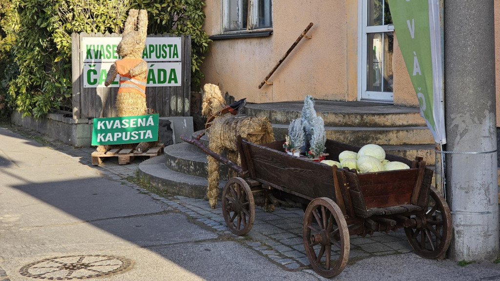 Stupavské zelé, predaj z dvora.

FOTO: HN/Katarína Šelestiaková