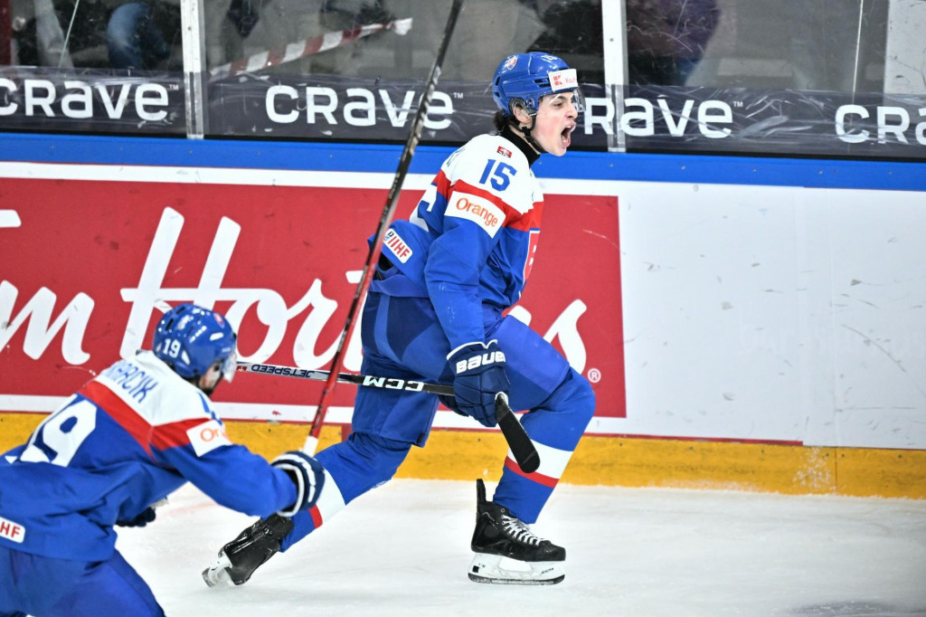 Najväčšou slovenskou hviezdou na šampionáte by mal byť kapitán Dalibor Dvorský. FOTO: Profimedia.sk