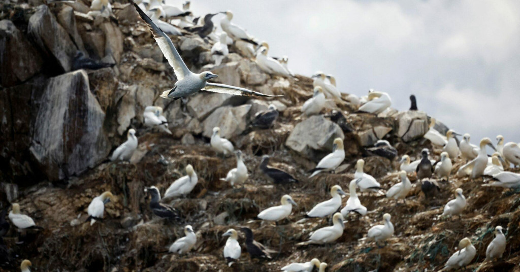 Ilustračná fotografia. FOTO: Reuters