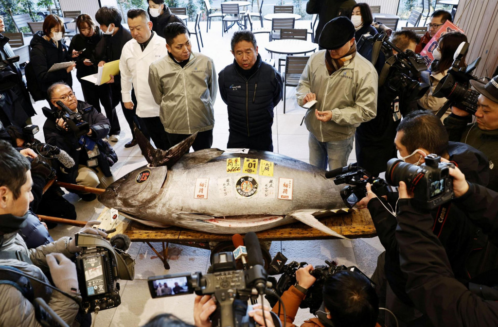 Japonský reťazec michelinských reštaurácií zaplatil 207 miliónov jenov za tuniaka modroplutvého, ktorý váži asi toľko čo jedna motorka. FOTO: Reuters/Kjodó