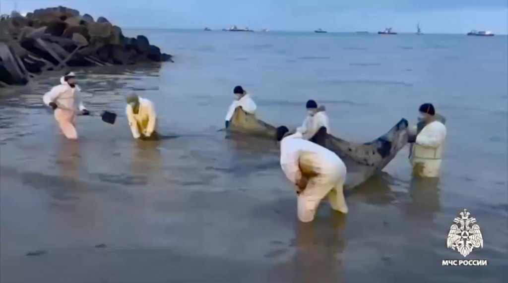Na videosnímke ruského ministerstva pre mimoriadne situácie, záchranári a dobrovoľníci pracujú na odstraňovaní ropných látok. FOTO: TASR/AP