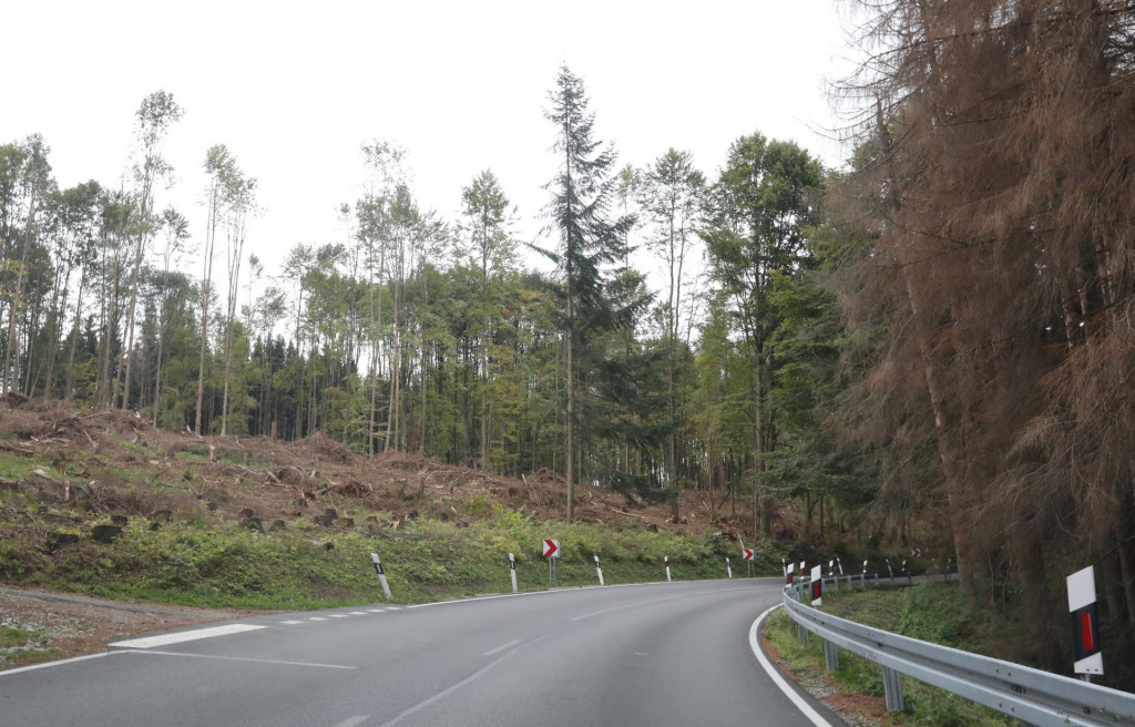 Ilustračná fotografia. FOTO: HN/Peter Mayer