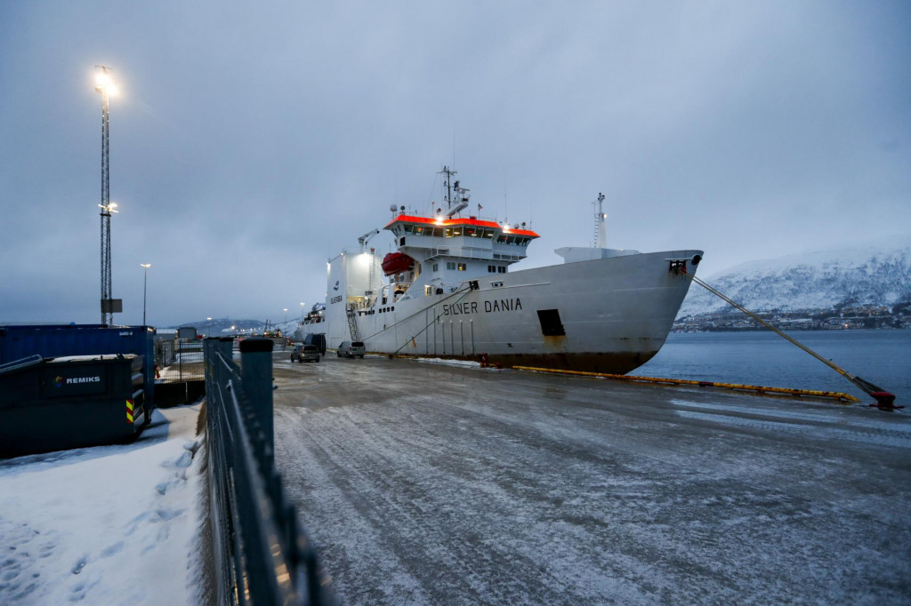 Plavidlo s názvom Silver Dania má nórskeho vlastníka a bolo na ceste z Petrohradu do Murmanska za polárnym kruhom. FOTO: TASR/AP