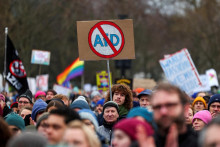 Protesty v Nemecku. FOTO: Reuters