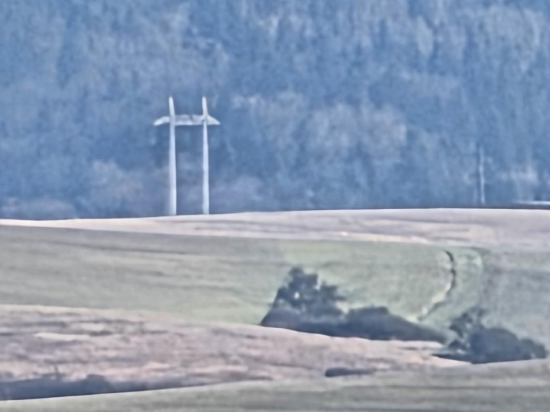 Slika