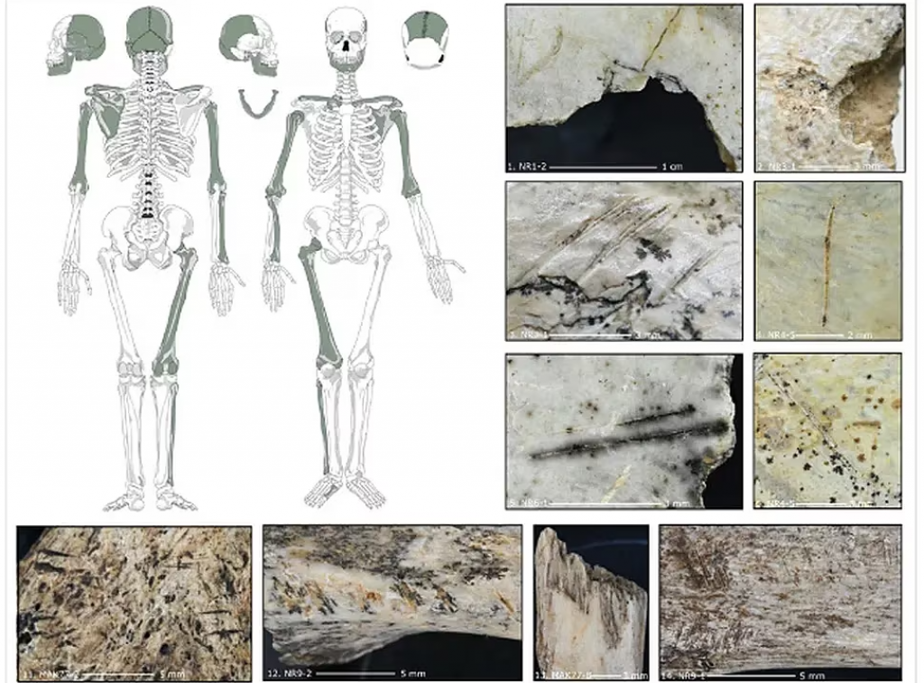 Kosti nesú stopy kanibalizmu, je si istá štúdia. FOTO: Institut Català De Paleoecologia Humana I Evolució Social