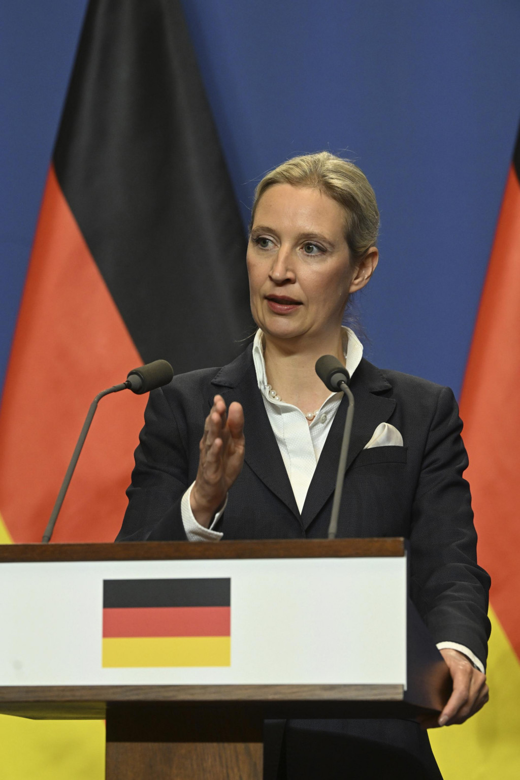 Spolupredsedníčka nemeckej nacionalistickej strany Alternatíva pre Nemecko Alice Weidelová. FOTO: TASR/AP