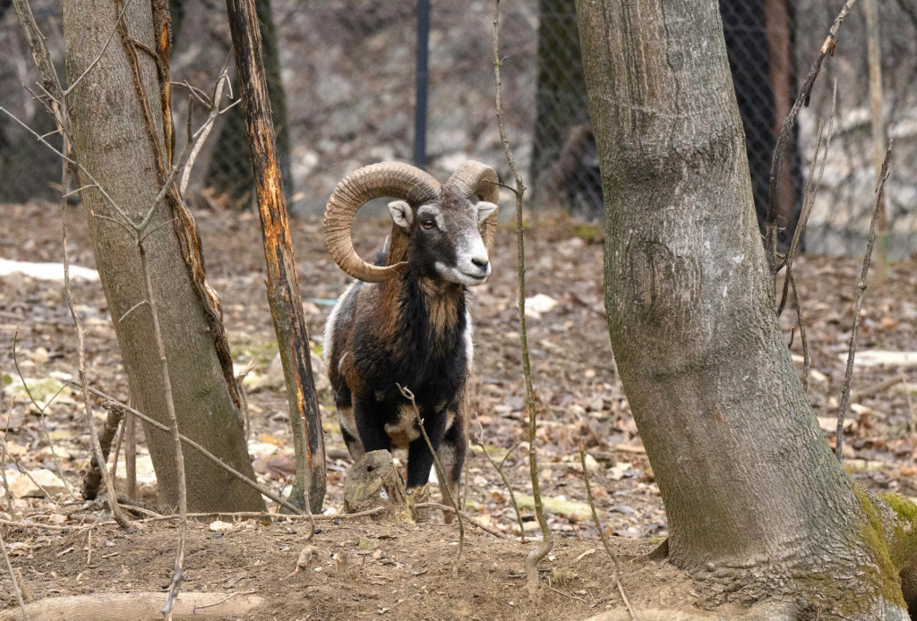 FOTO: TASR/Henrich Mišovič