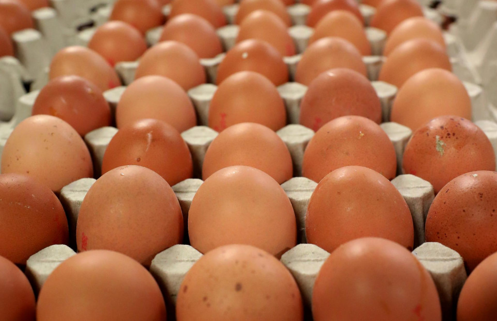 Pre vyšší dopyt však hydinári očakávajú tradičný mierny nárast cien vajec v tomto období. FOTO: HN/Pavol Funtál