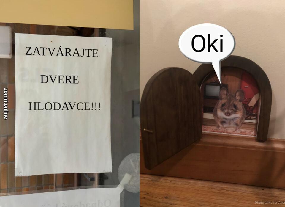 Slika