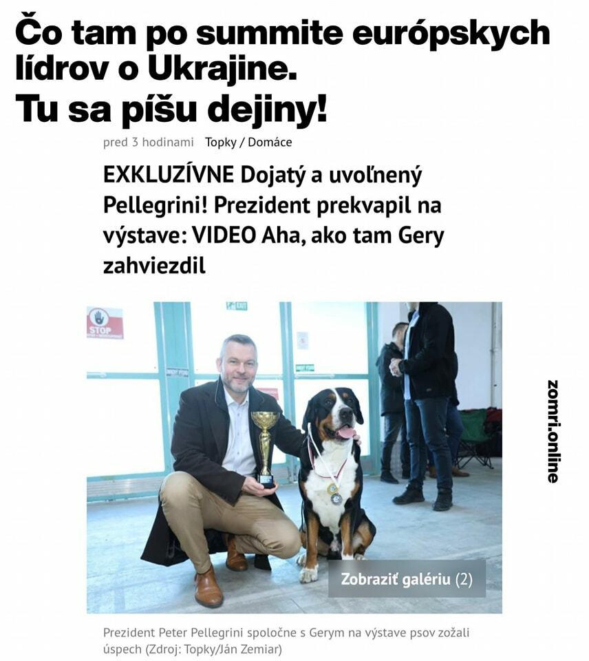 Slika