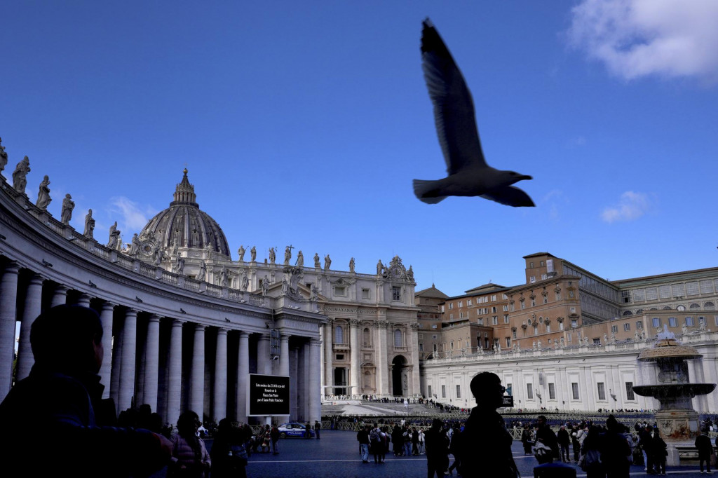 Na snímke letí čajka nad Námestím sv. Petra vo Vatikáne. FOTO: TASR/AP