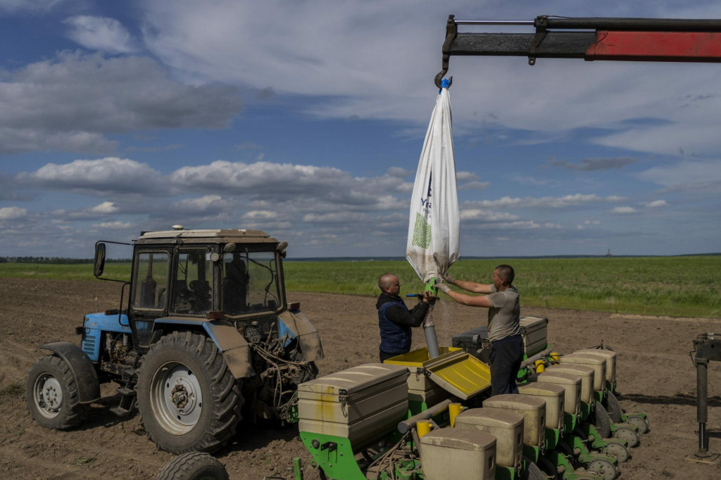 Čerkaska Lozova - Na snímke farmári pripravujú sadenie slnečníc na poli v obci Čerkaska Lozova na Ukrajine. Ukrajina je jedným z najväčších svetových vývozcov pšenice, kukurice a slnečnicového oleja, ale vojna a ruská blokáda jej prístavov zastavili vežkú časť vývozu, čo ohrozuje svetové dodávky potravín. FOTO TASR/AP
