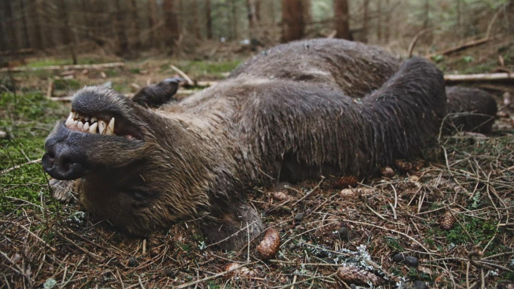 Záber z doku-série Lebo Medveď. FOTO: Voyo