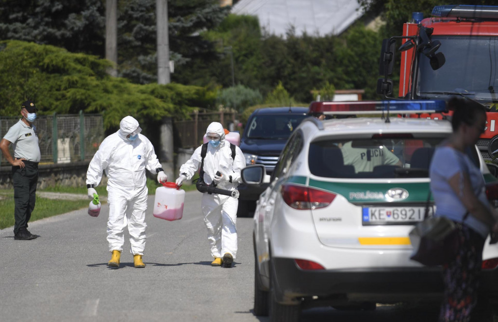 Mor ošípaných na Slovensku. FOTO: TASR/F. Iván