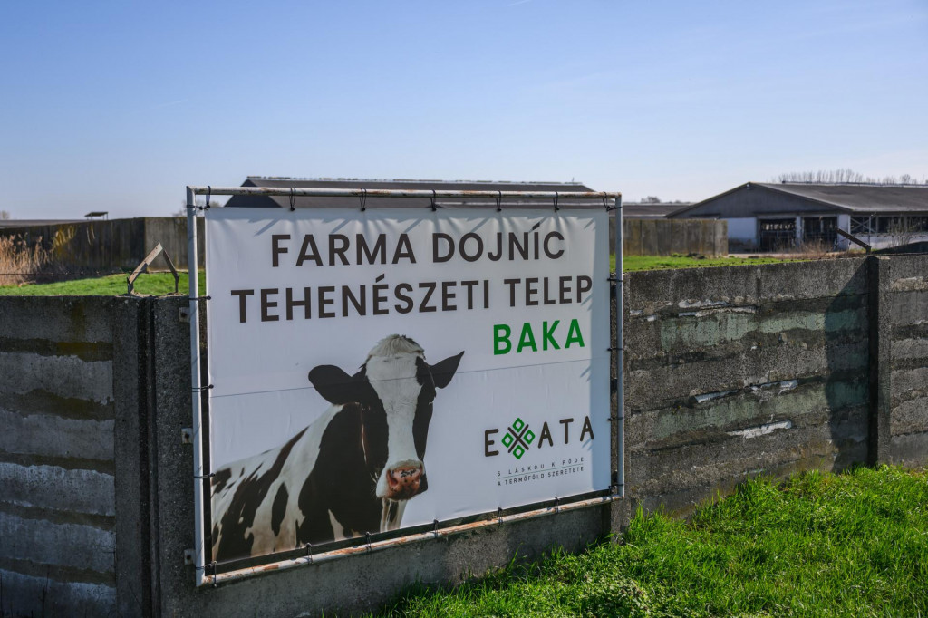 Na farme dojníc v obci Baka, ktorá patrí pod Exata Group, sa vírus potvrdil 21. marca 2025.