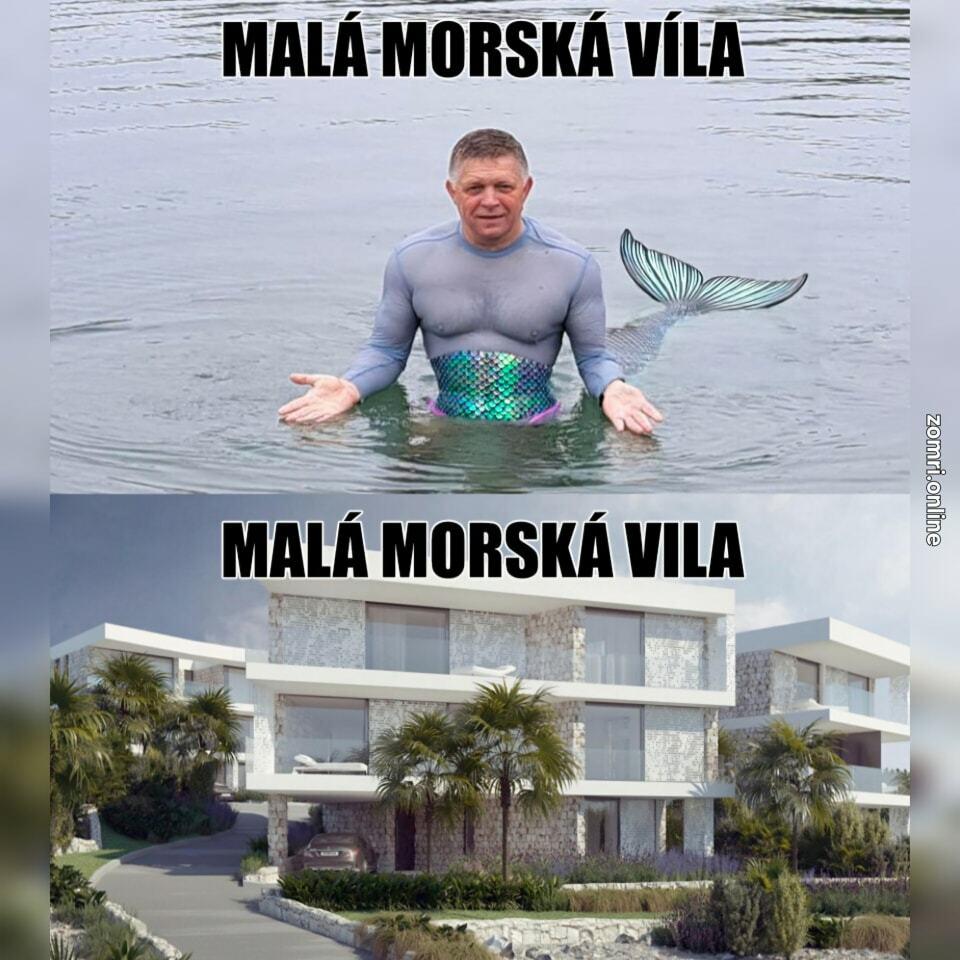Slika