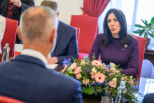 Predseda Národnej rady Richard Raši (Hlas-SD) a predsedníčka Poslaneckej snemovne Parlamentu ČR Markéta Pekarová Adamová. FOTO: TASR/Jaroslav Novák