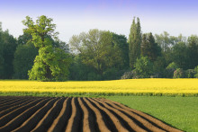 Scelené pozemky naberajú na svojej hodnote. FOTO: Dreamstime