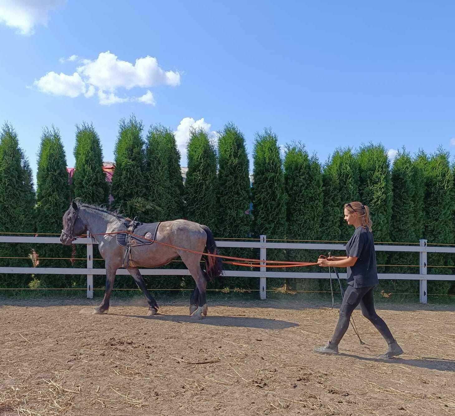 Nákaza ochromila aj jazdeckú školu. Klienti nemôžu využiť už zaplatené hodiny, hovorí majiteľka