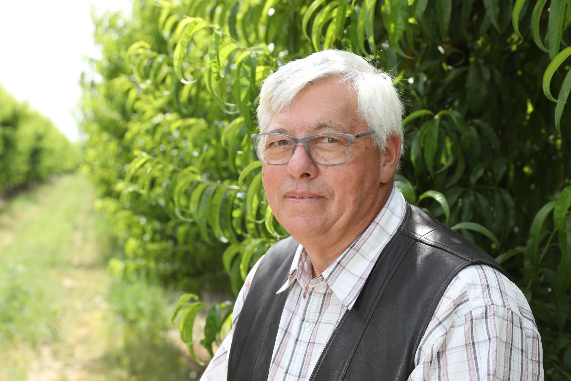 Šéf ovocinárov Marián Varga: Nie je to len mráz, marhule a čerešne ohrozuje iná vražedná kombinácia