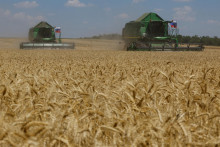 Farmári obsluhujú kombajny pri zbere pšenice na poli počas rusko-ukrajinského konfliktu za mestom Volnovacha v Doneckej oblasti na Ukrajine pod kontrolou Ruska, 12. júla 2024. FOTO: REUTERS
