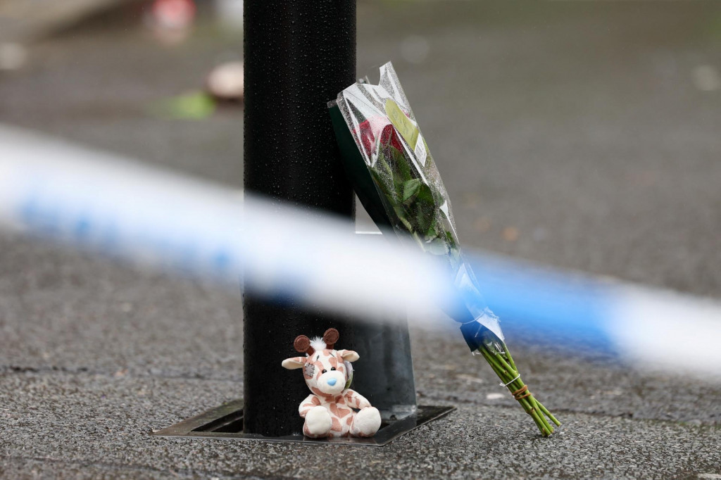 Na videu, ktoré sa šírilo sociálnymi sieťami je vidno, že vodič opakovane menil smer v dave, zrejme s úmyslom zraziť čo najviac osôb. FOTO: REUTERS