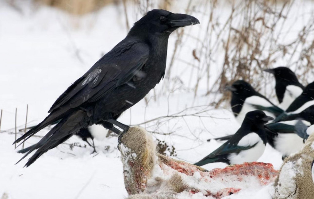 Ilustračná snímka. FOTO: Reuters