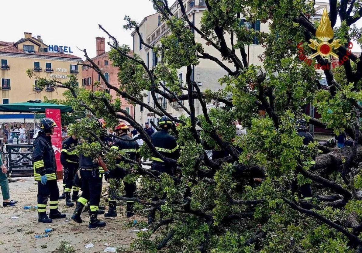 V Benátkach sa na ľudí zrútil dub, viacero zranených je v kritickom stave