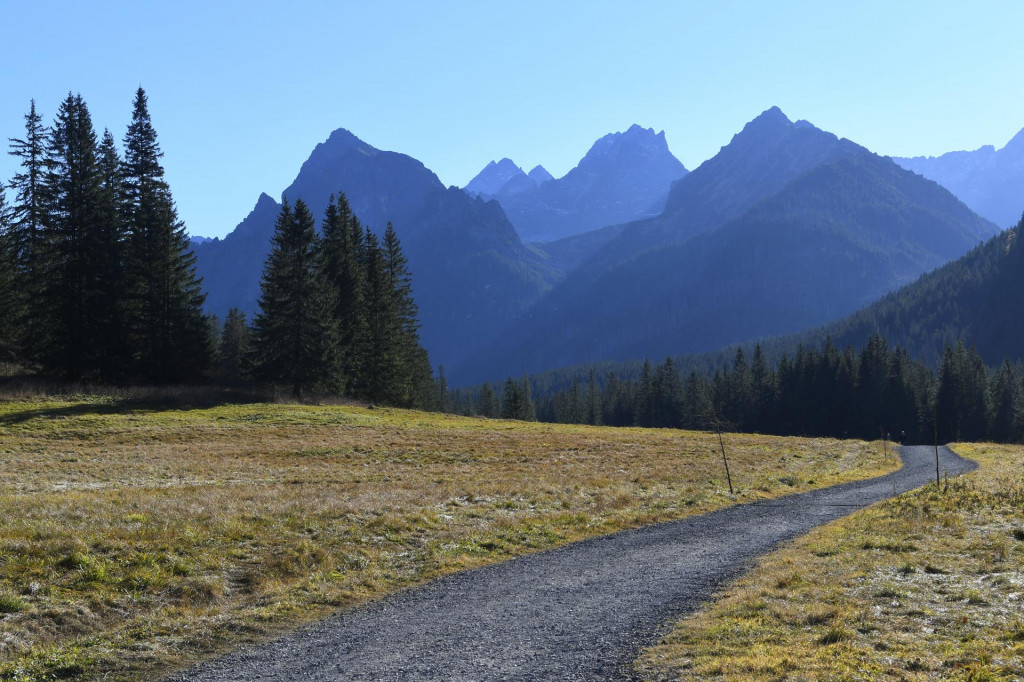 „Opäť sa ukázalo, že minister životného prostredia Tomáš Taraba si za riaditeľa TANAP-u vybral nekompetentného človeka Petra Olexu, ktorý nie je schopný zákonným spôsobom predložiť dokumentáciu ochrany prírody,“ skonštatoval Milan Olekšák z iniciatívy My sme les. FOTO: TASR/Milan Kapusta
