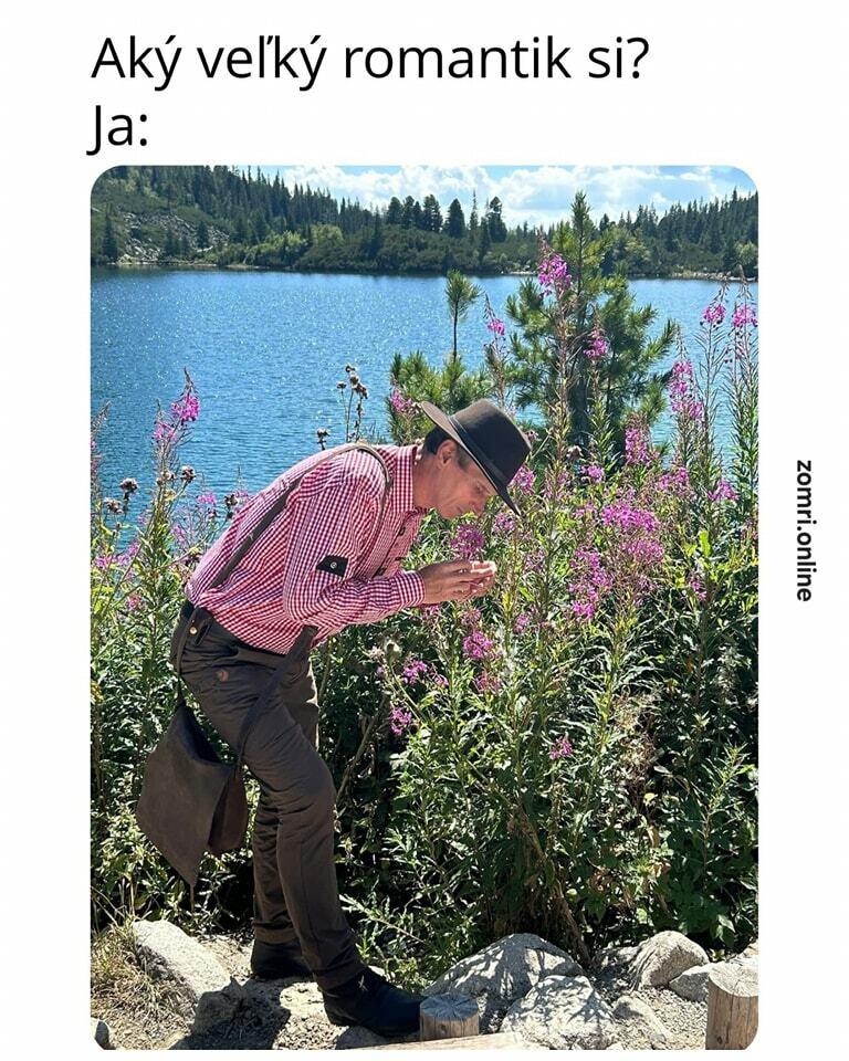 Slika