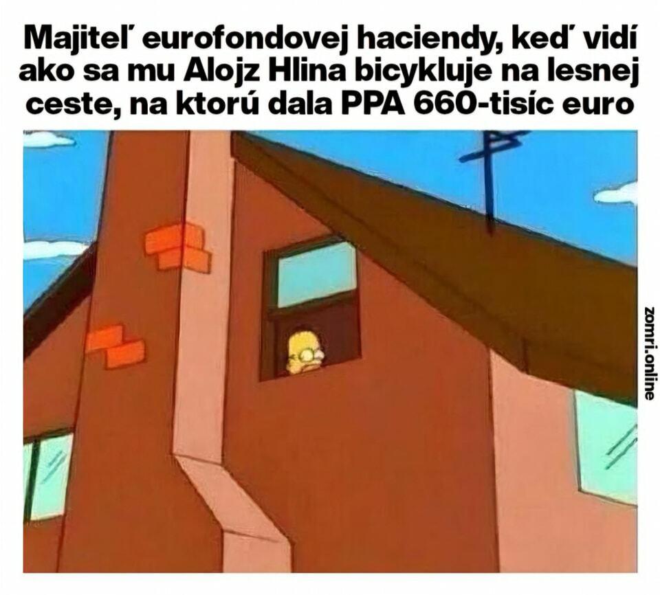 Slika