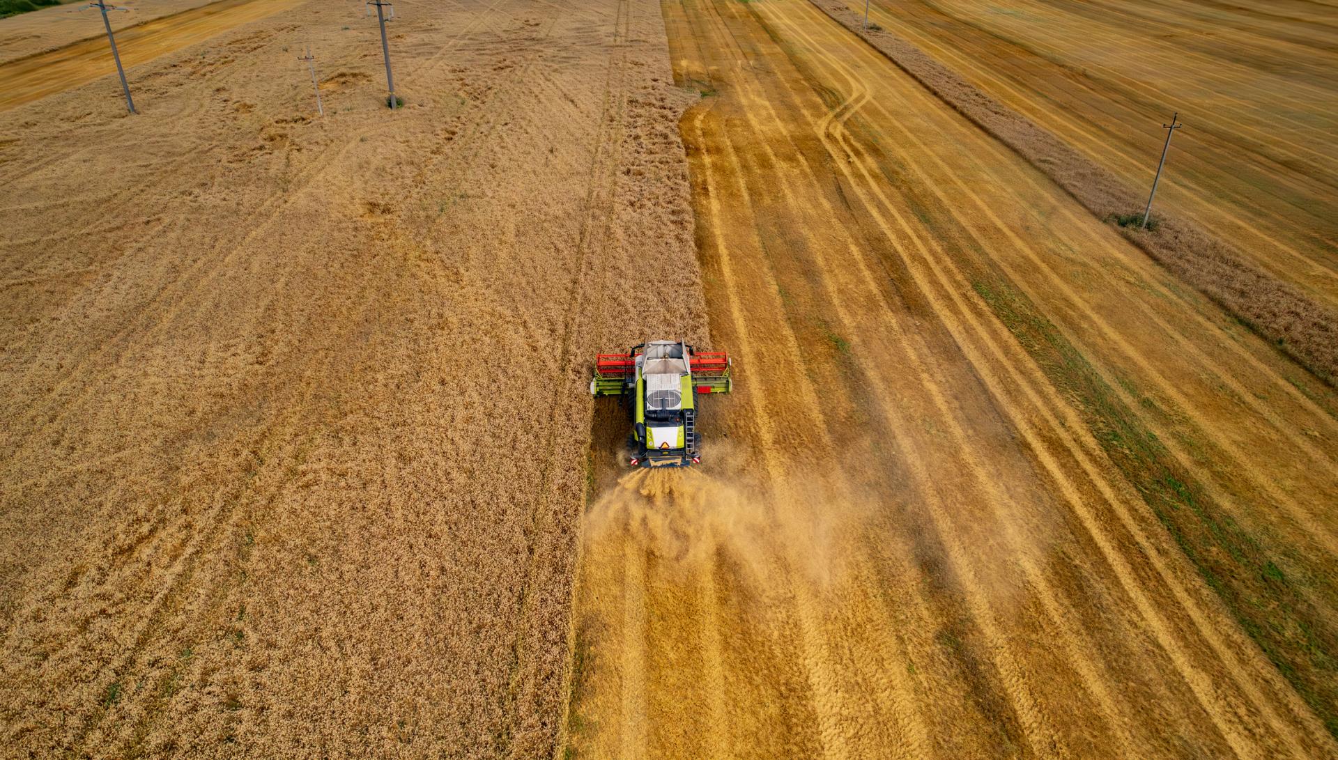 Bezcolný režim s Európskou úniou končí, ukrajinský agrobiznis stratí miliardy. Ako to zmení trh?