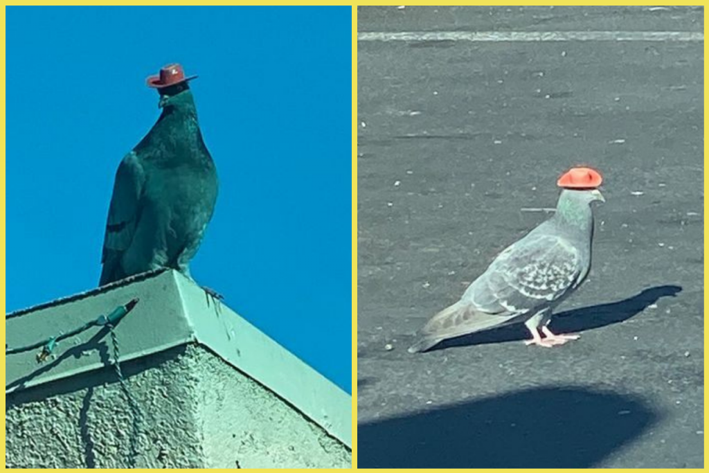 Holuby v Las Vegas