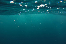 Okyslenie oceánov nie je len environmentálna kríza.