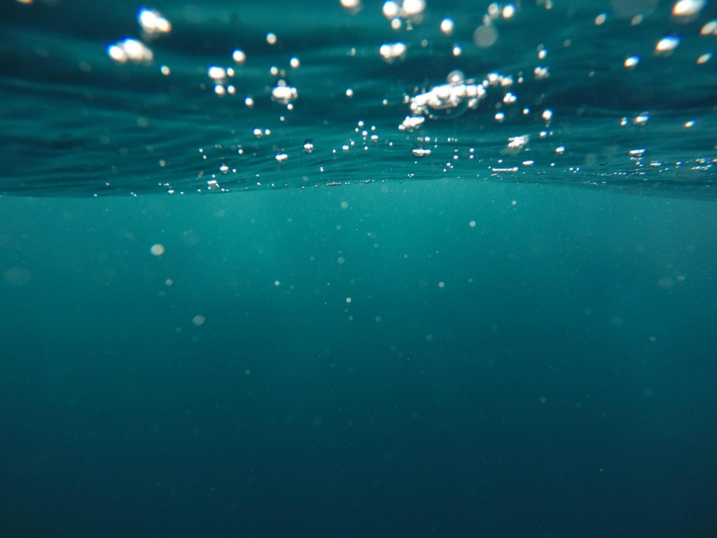 Okyslenie oceánov nie je len environmentálna kríza.