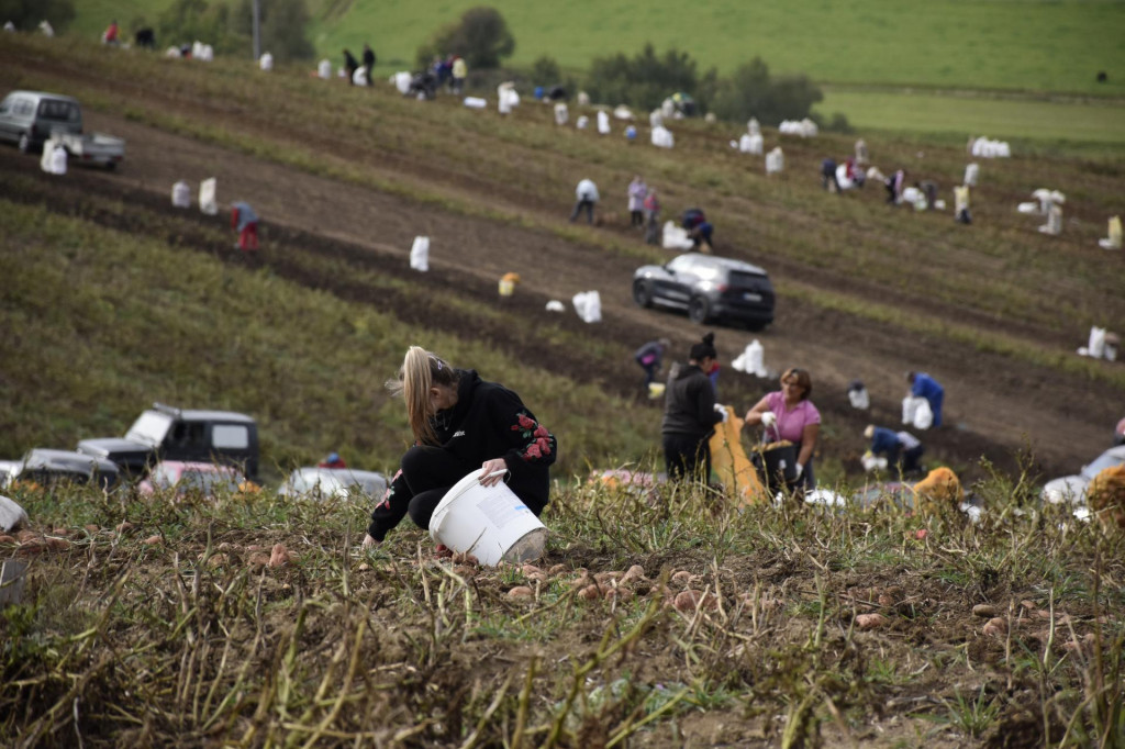 Ilustračná snímka. FOTO: TASR