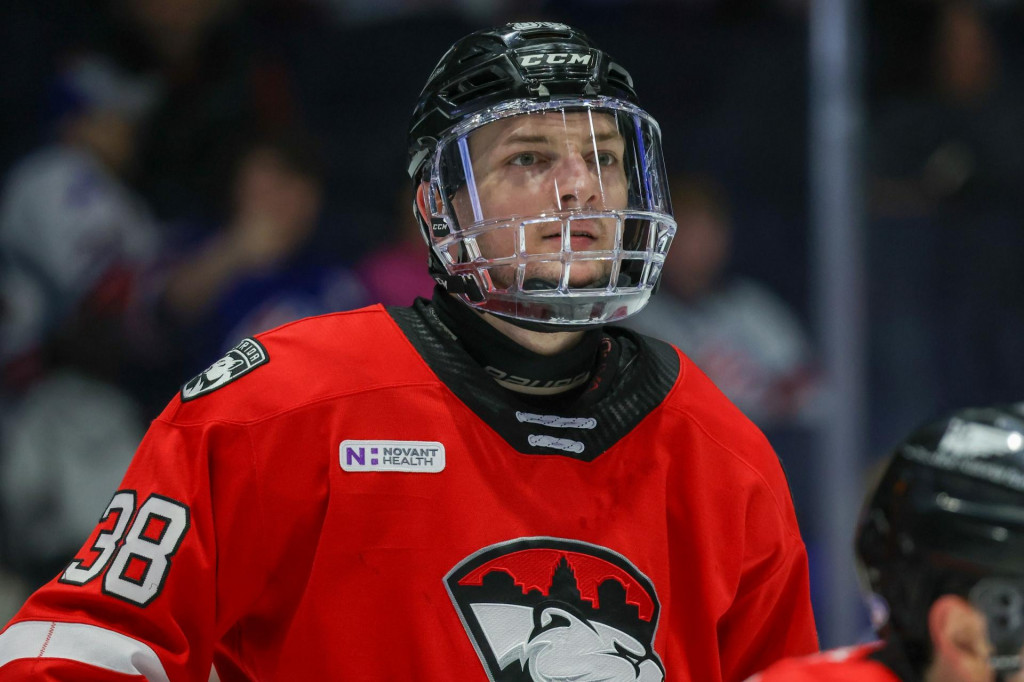 Hoci Oliver Okuliar zažil vo farbách Charlotte Checkers vydarenú sezónu, mal by sa sťahovať späť do Európy. FOTO: Profimedia.sk