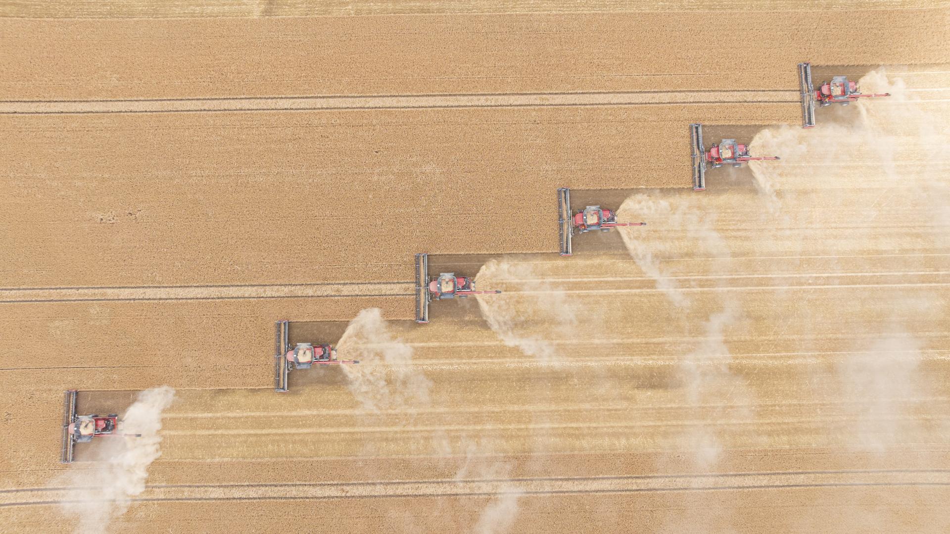 Farmári bijú na poplach a rátajú škody, Slovensko sužuje extrémne sucho