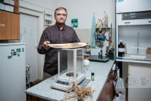 ROMAN PAVELA, botanik, vedec pre časopis Téma. FOTO: Michal Sváček/MFDNES + LN/Profimedia