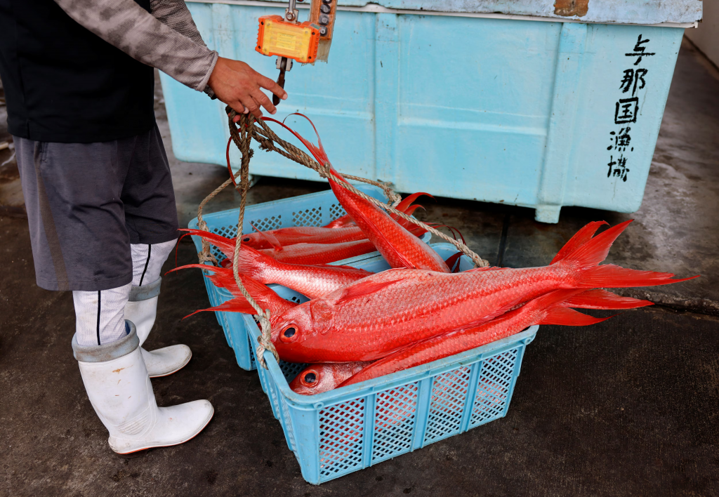 Čína zakázala všetok dovoz japonských morských produktov v auguste 2023, krátko potom, čo Japonsko vypustilo do oceánu prvú várku odpadovej vody z Fukušimy, čo vyvolalo diplomatickú aj hospodársku roztržku. FOTO: REUTERS
