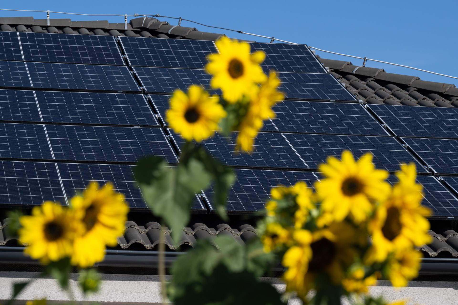 Virtuálna batéria? Je ešte lepší nápad. Slováci začínajú objavovať mimoriadne lacnú elektrinu (Brífing HN)