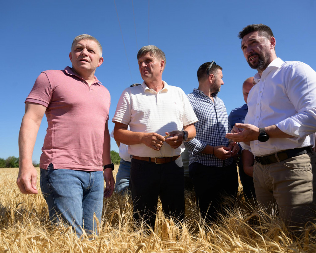 Predseda vl&aacute;dy Robert Fico (Smer-SD), predseda PD Rado&scaron;inka &Scaron;tefan Korec a minister p&ocirc;dohospod&aacute;rstva a rozvoja vidieka Richard Tak&aacute;č (Smer-SD) počas žatevn&eacute;ho v&yacute;jazdu 1. j&uacute;la 2025 na poli pri obci Veľk&eacute; Ripňany, okres Topoľčany. FOTO: TASR/Henrich Mi&scaron;ovič