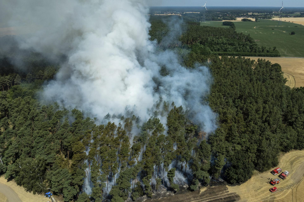 Hasiči hasia lesný požiar na okraji pola s obilím počas horúčav v Brandenburgu 2. júla 2025. FOTO: TASR/AP