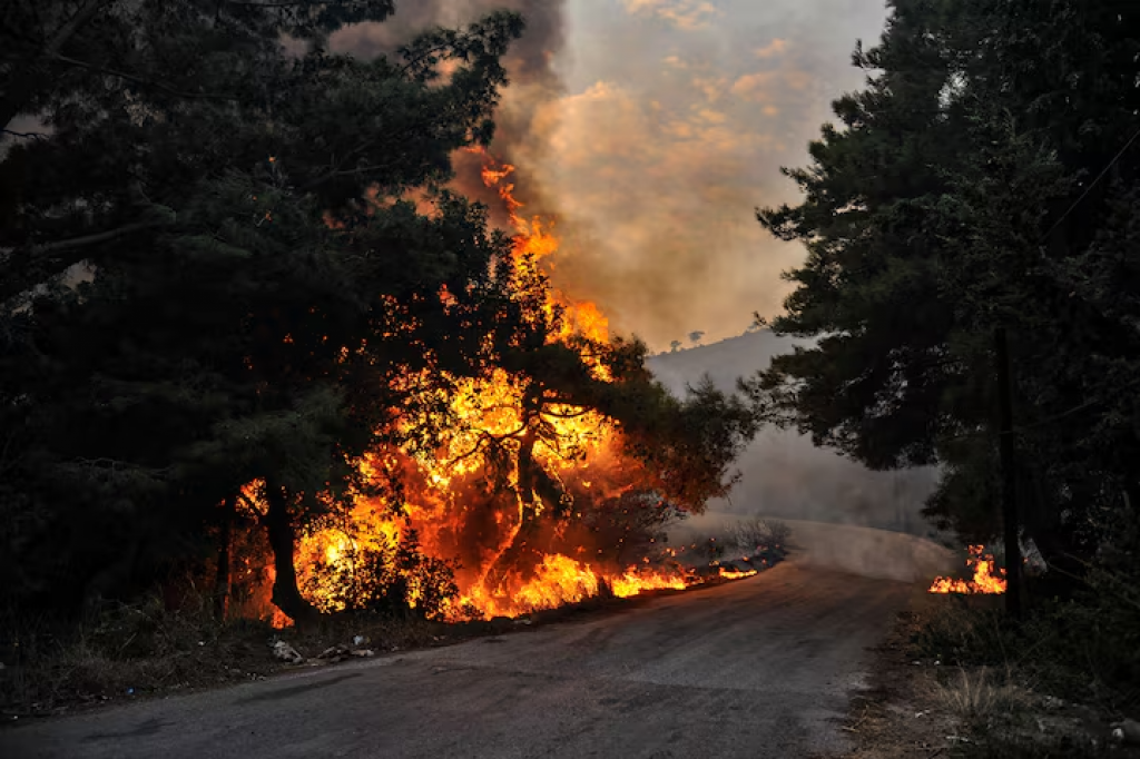 S požiarmi pri vysokých teplotách a silnom vetre bojuje v členitom teréne približne 80 tímov vrátane príslušníkov civilnej ochrany. FOTO: REUTERS