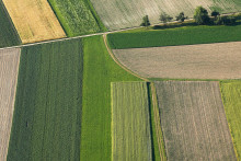 V obciach, kde je pozemkové usporiadanie už naplánované, sa oplatí počkať. FOTO: Dreamstime