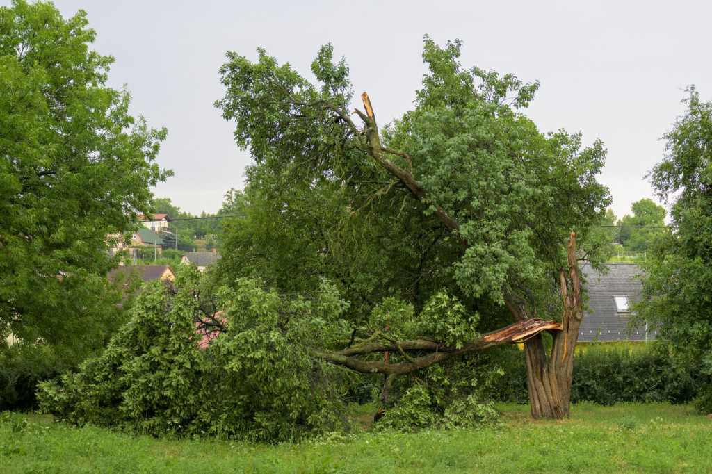 Búrky na východnom Slovensku. FOTO: TASR/Veronika Mihaliková