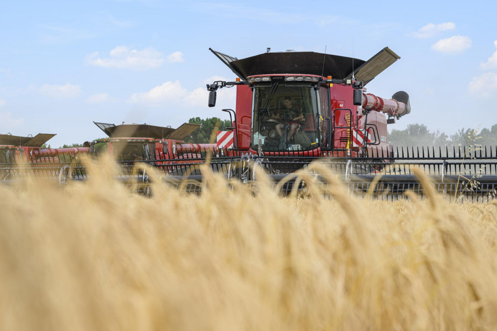 Žatva ozimného jačmeňa na poliach pri Dunajskej Strede.