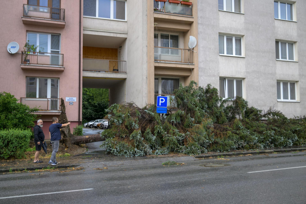 Spadnutý strom na Grešovej ulici po intenzívnych búrkach v Prešove 7. júla 2025.