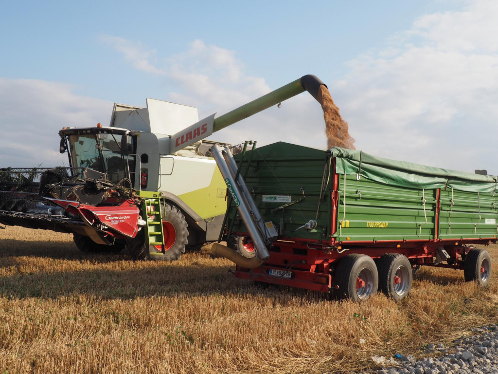 Ilustračná snímka. FOTO: TASR/Miroslav Košírer